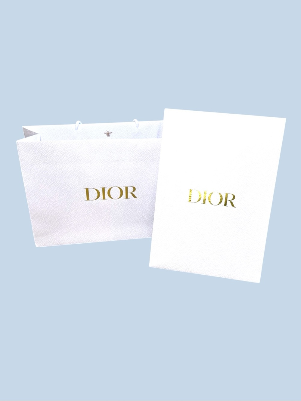 DIOR Shopping Bag & Envelope